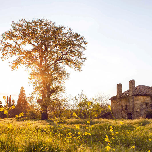 Landscape architecture